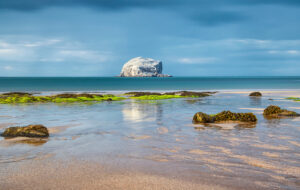 Bass Rock from the Beach, North Berwick