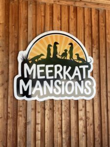 The Meerkat Mansions at Blair Drummond Safari Park