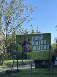 Thank you for Visiting