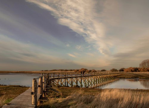 Aberlady Bay