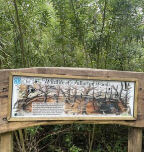 Fullarton Woods Wildlife Sign