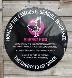 Cheesy Toast Shack Seagull Insurance